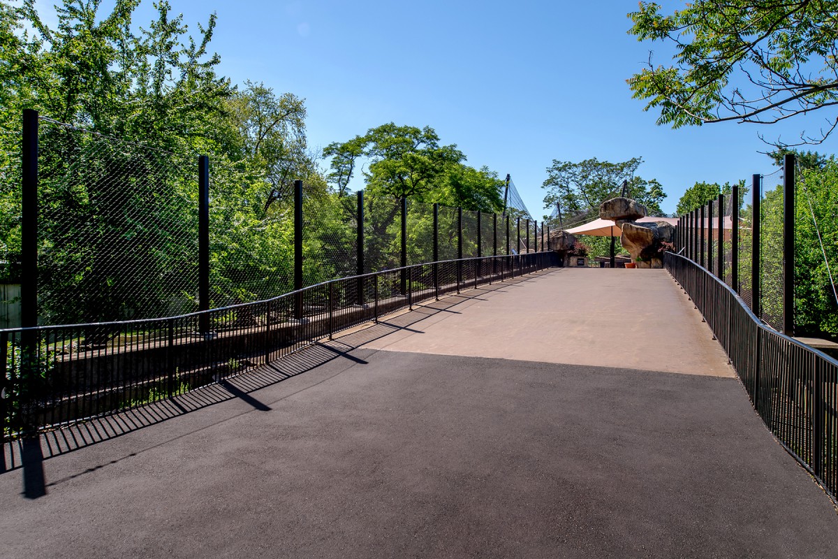 Saint Louis Zoo Big Cat Country Square UP